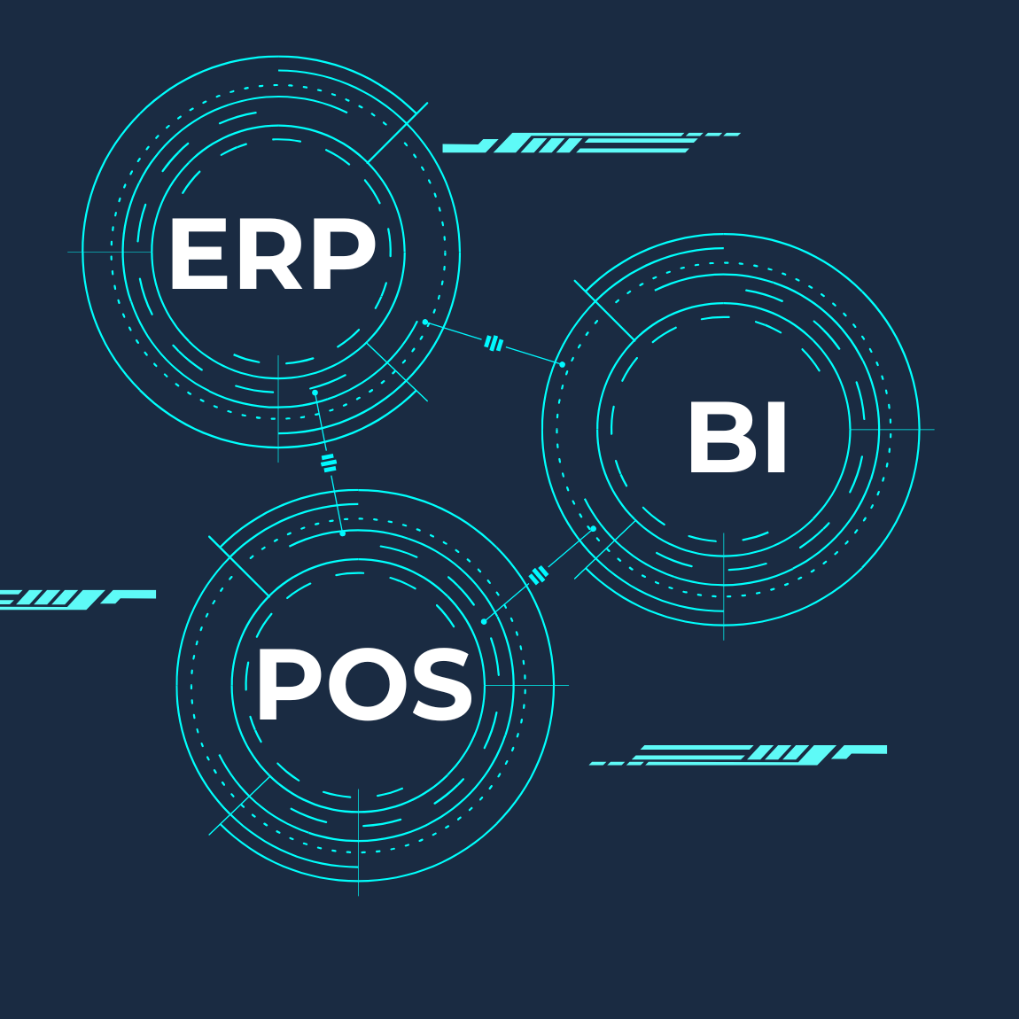 ERP_BI_POS_photo
